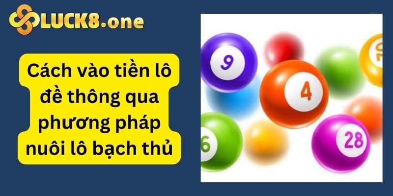 Sử dụng phương pháp nuôi lô bạch thủ đề vào tiền khi chơi lô